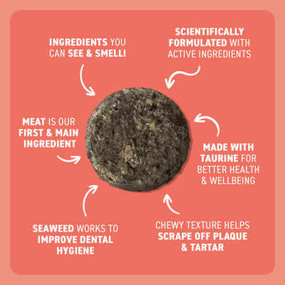 Bell and Bone Adult Cat Dental Bites - Salmon with Charcoal 80g