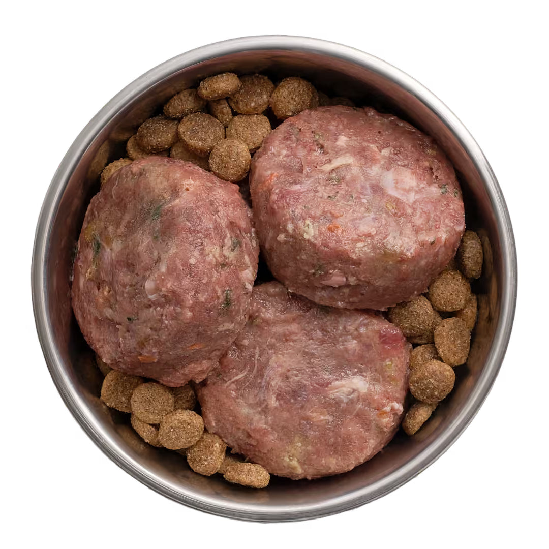 Doctor B's BARF Frozen Adult Dog Food Medallions Combo Recipe 1kg