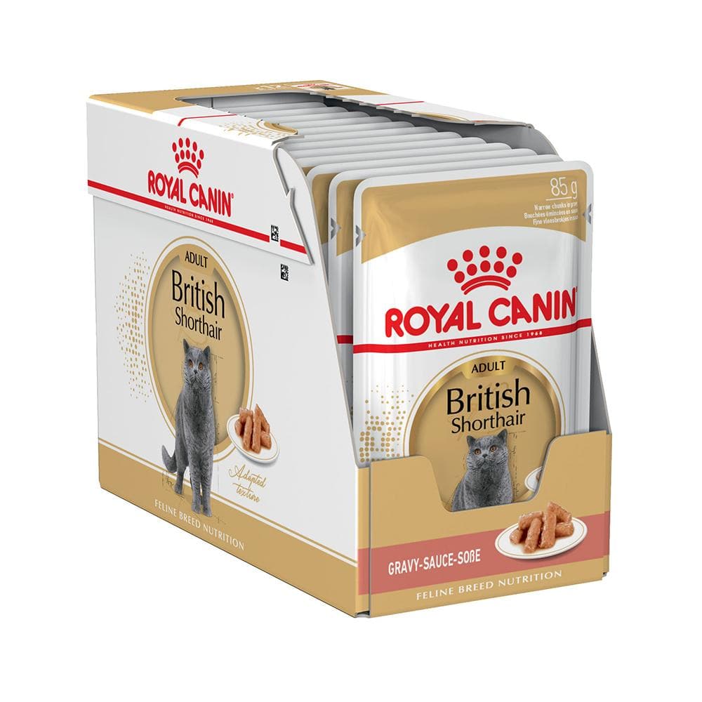 ROYAL CANIN British Shorthair Gravy Adult Wet Cat Food 85g x 12 77PAWS