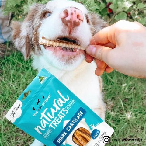The Pet Projcet SHARK CARTILAGE Dog Treats 100g