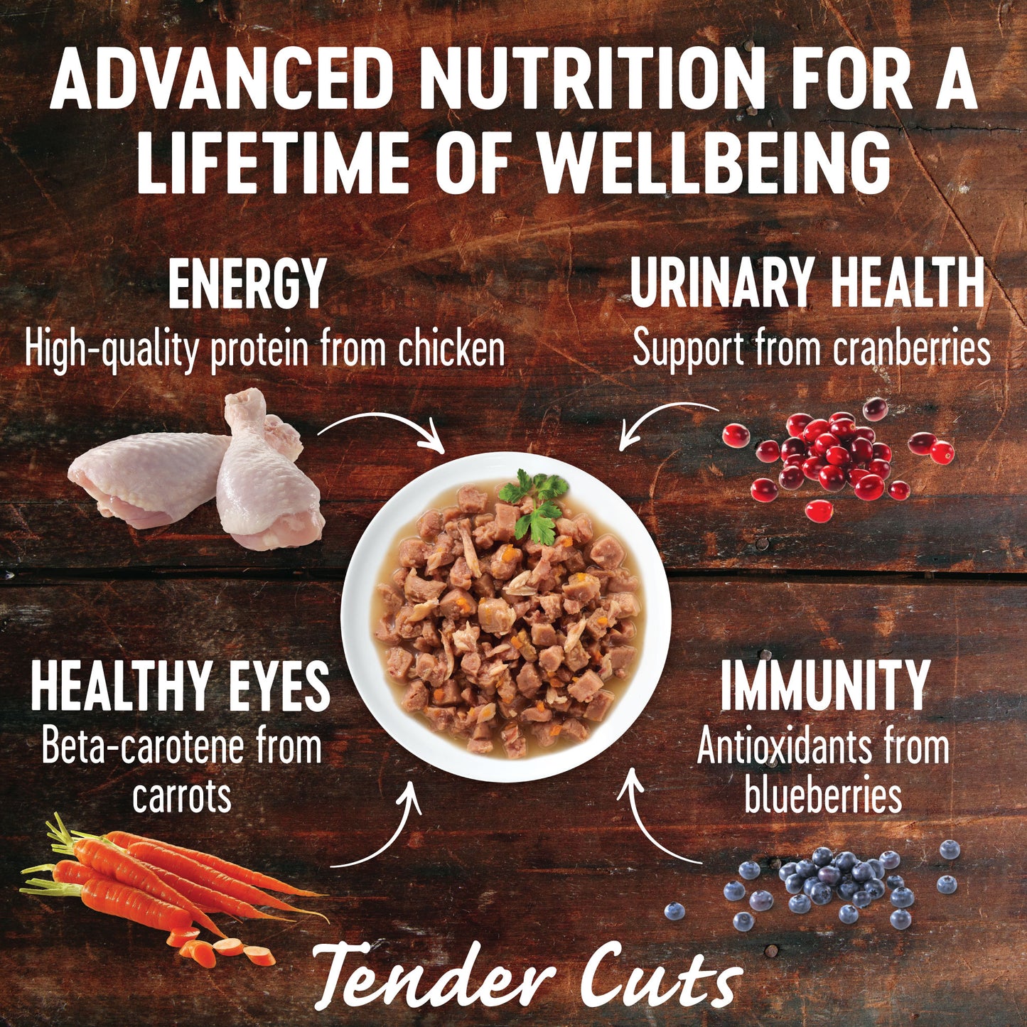 WELLNESS Core Wet Cat Food Tender Cuts With Chicken & Salmon in Savoury Gravy 85g x 8