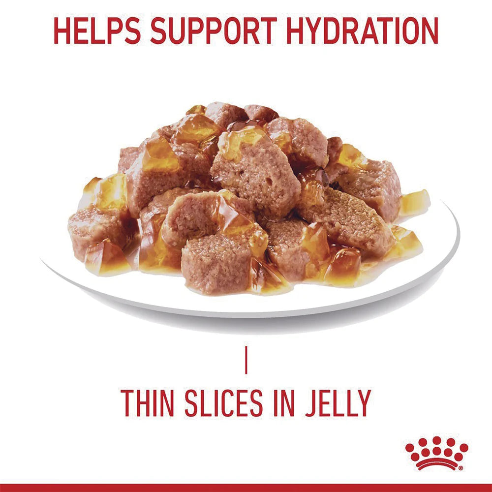 ROYAL CANIN Urinary Jelly Wet Cat Food 85g*12