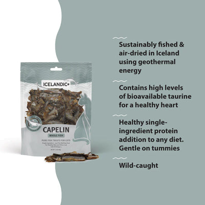 Icelandic+ Cat Treats Capelin Whole Fish & Pieces 42g