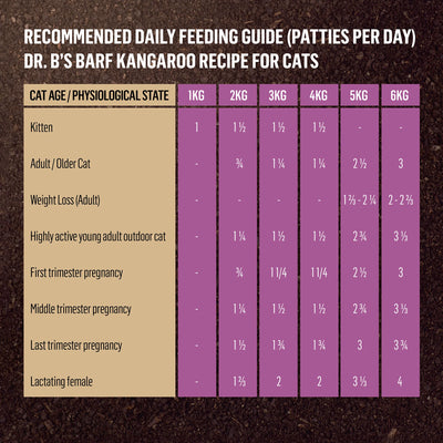 Doctor B's BARF Frozen Raw Cat Food Turkey Recipe 115G x 12