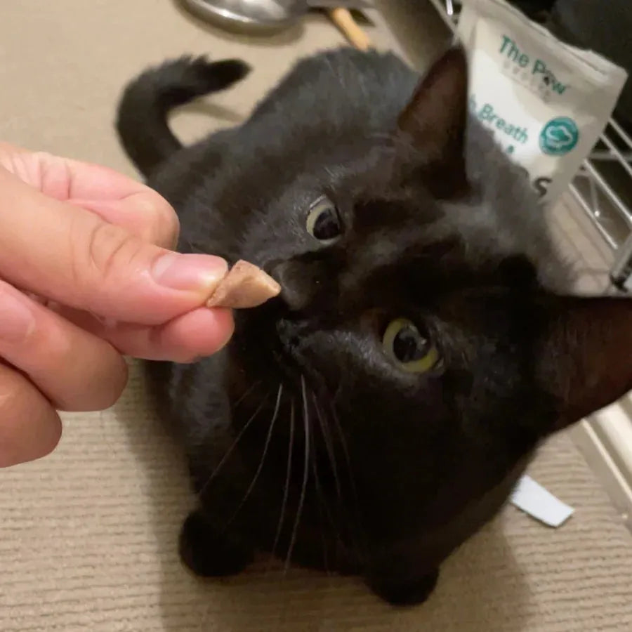 The Paw Grocer - Freeze Dried Diced Chicken