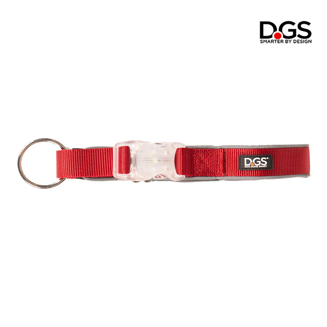 DGS Comet LED Safety Collar For Dogs