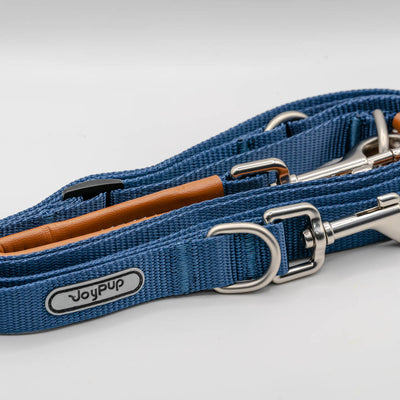 Joy Pup Hey Buddy! Dog Multi Lead