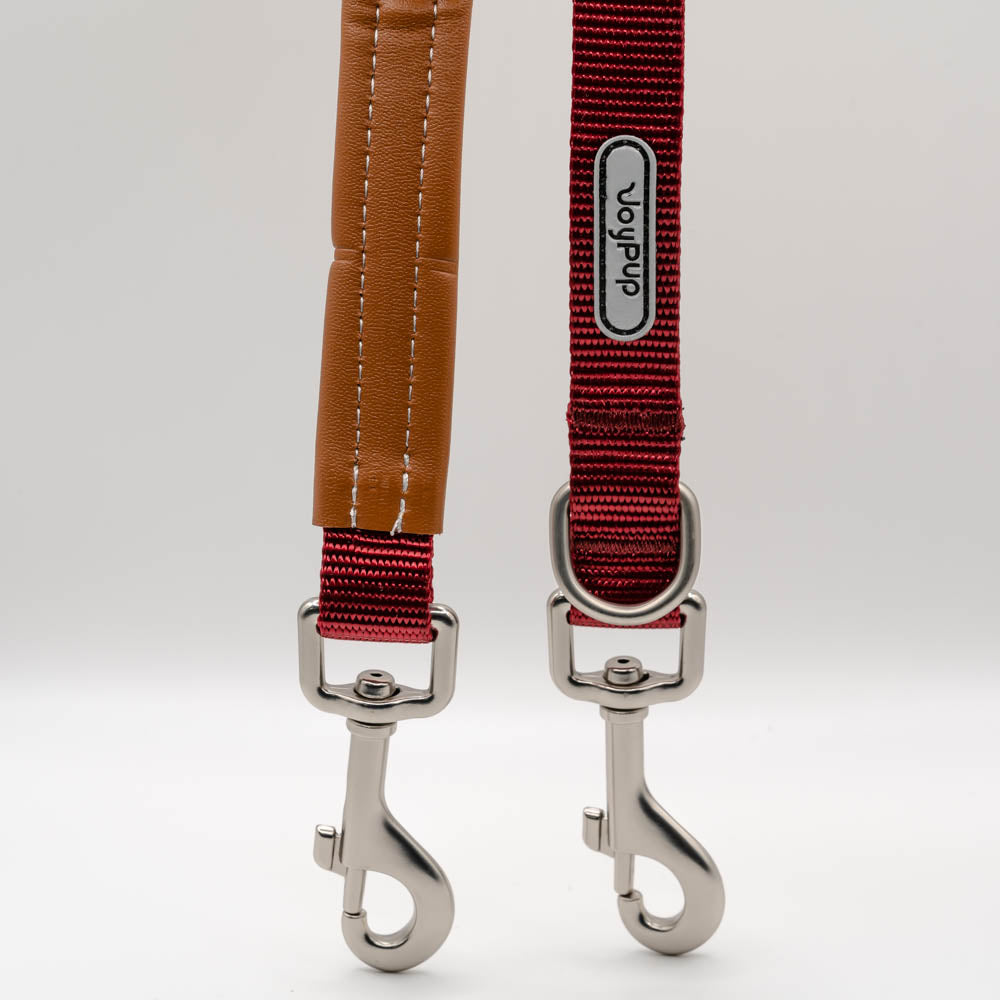 Joy Pup Hey Buddy! Dog Multi Lead