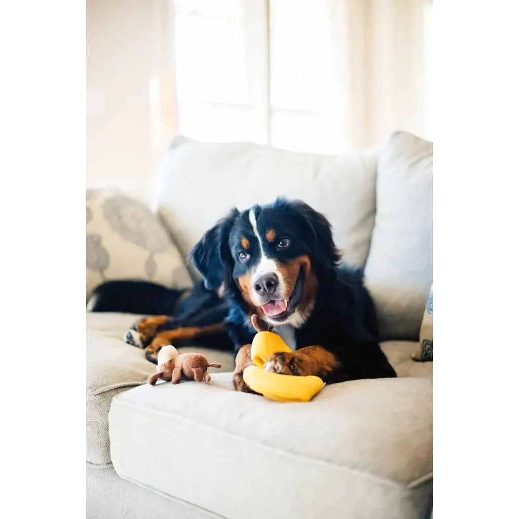 Zippypaws Plush Toys For Dog Zippy Burrow® – MONKEY N BANANA