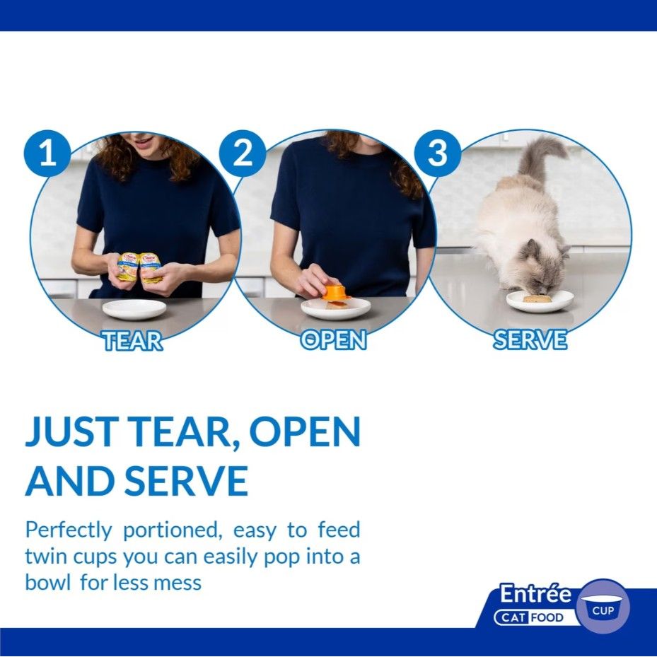 INABA Cat Complete and Balanced Wet Food Churu Entrée Pate Twin Cups Chicken Recipe with Salmon 35g x 2