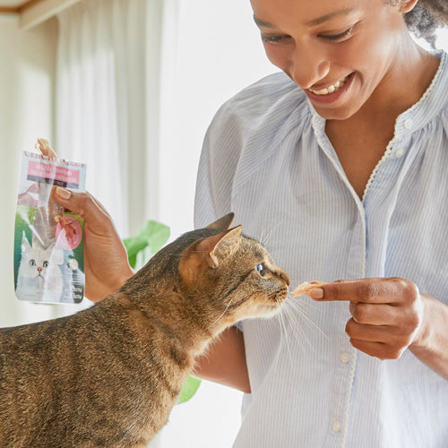 INABA Cat Treat Grilled Chicken Crab Flavored Broth 25g