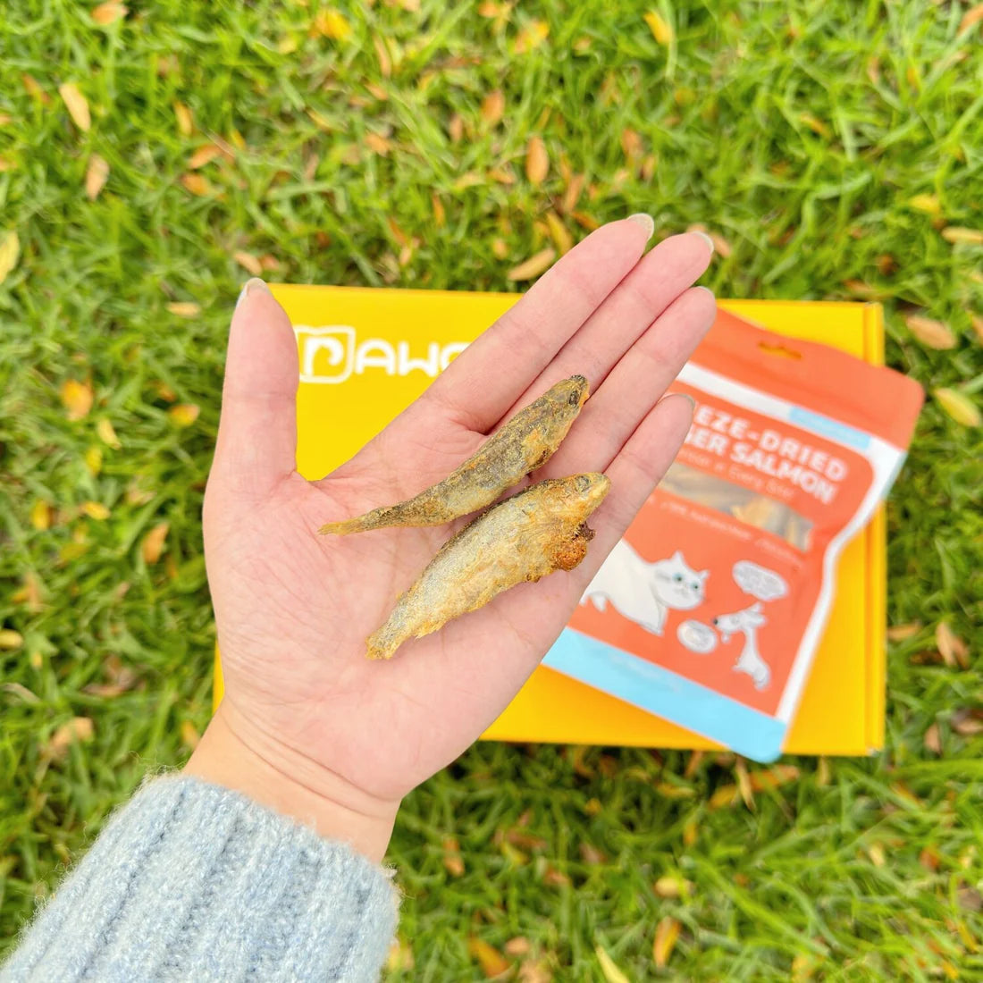 PAWCKET-Freeze Dried Raw Finger Salmon 50g