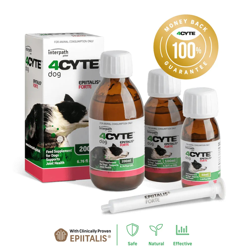 4CYTE™ Epiitalis® Forte for Dogs