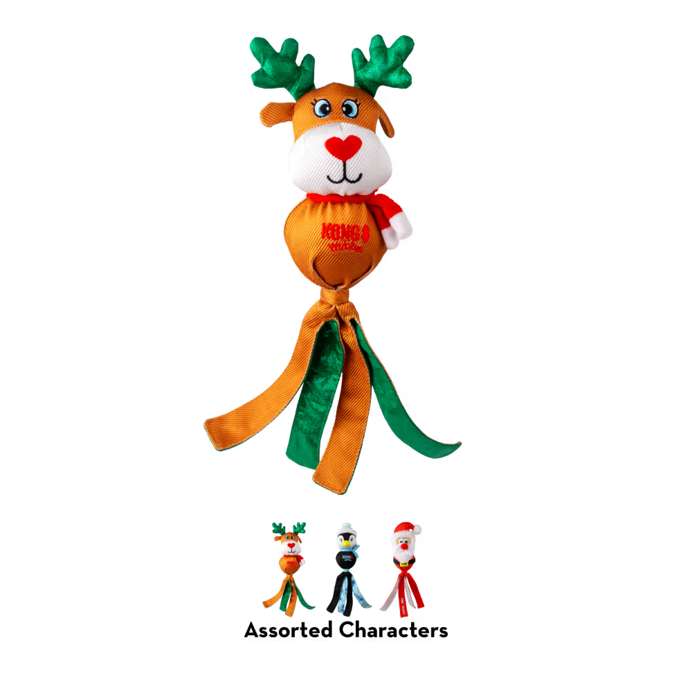 KONG Squeaky Dog Toy Holiday Wubba Assorted Large