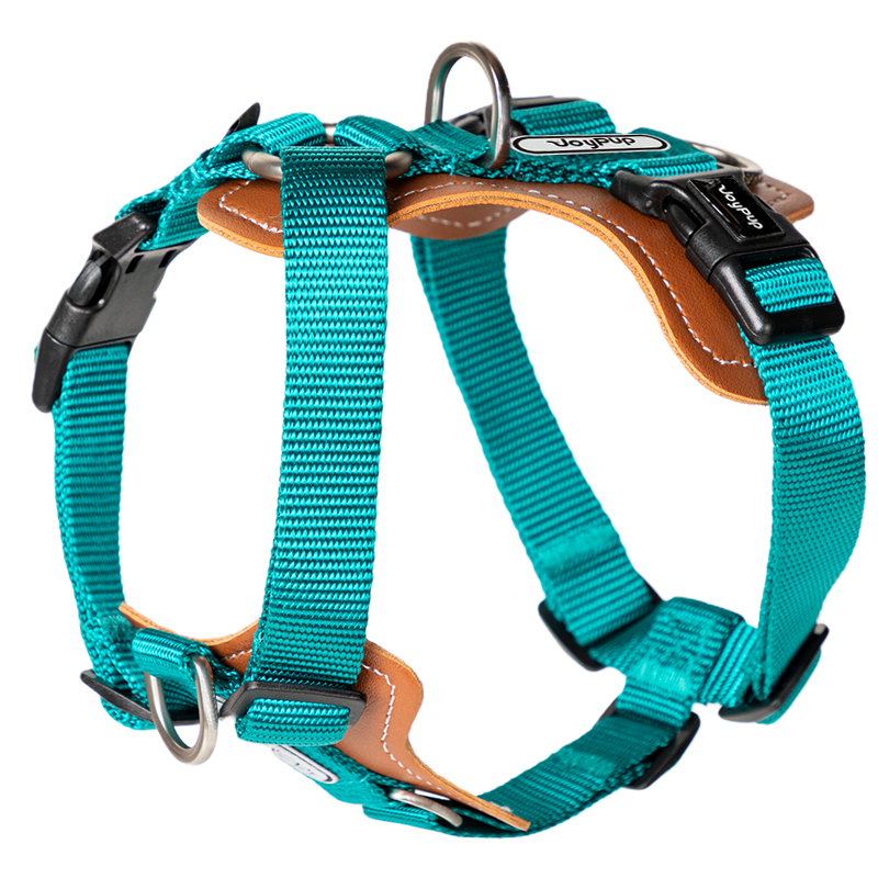 Joy Pup Hey Buddy! Dog Harness Pistachio Green