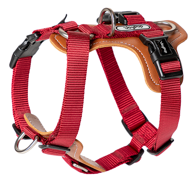 Joy Pup Hey Buddy! Dog Harness Ruby Red
