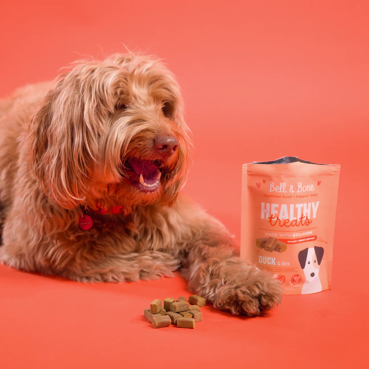 Bell and Bone Healthy Treats - Duck & Fibre for weight and energy support