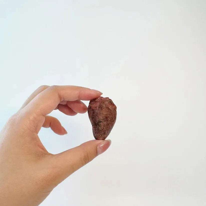 PAWCKET-Freeze Dried Raw Duck Heart Treat 45g