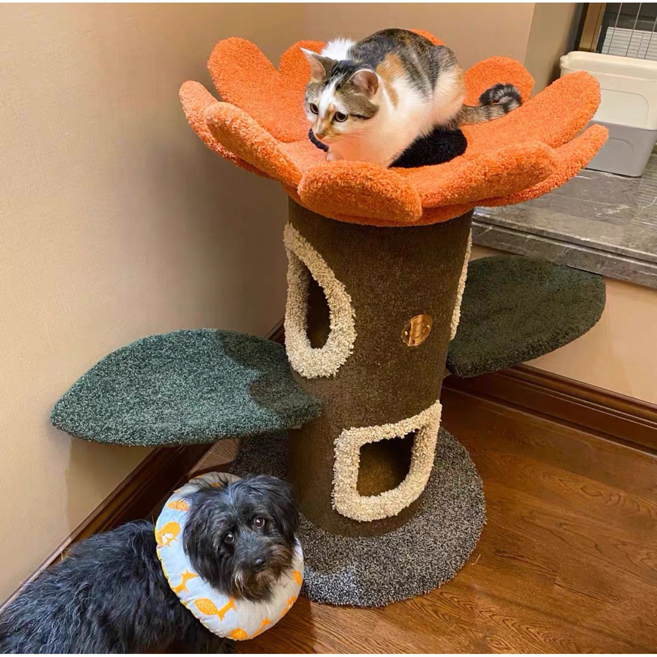 Camily Small "Sunflower" Cat Climbing Cat Tree