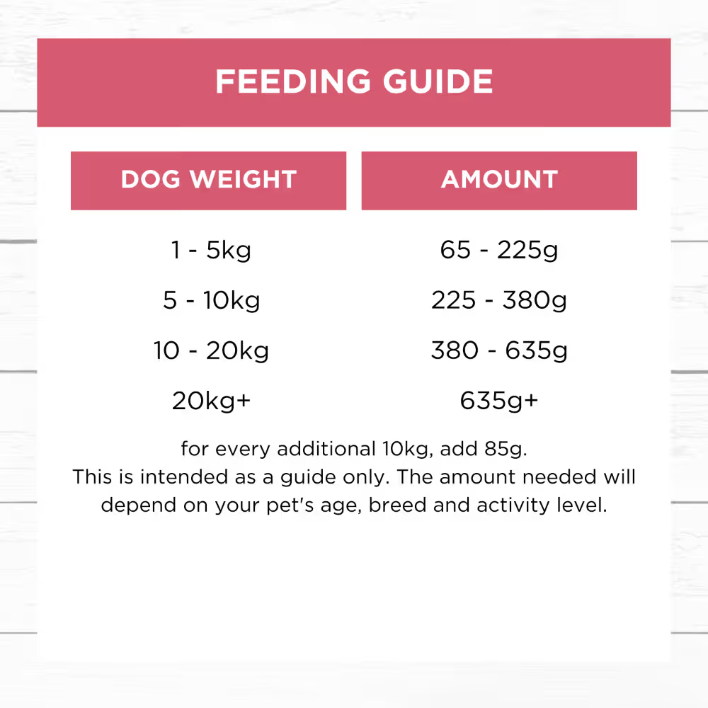 Ivory Coat Frozen Raw Dog Food Grain Free Slow Cooked Lamb & Salmon 250g x 6