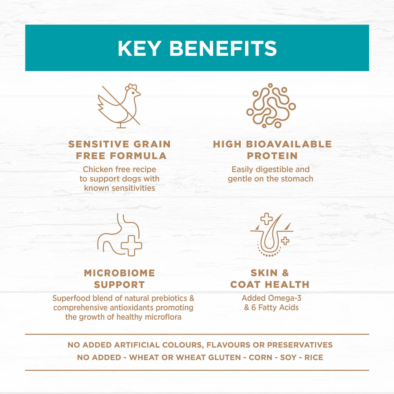 IVORY COAT - Grain Free Adult All Breeds Dry Dog Food Salmon & Ocean Fish