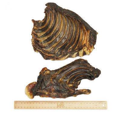 Bark & Beyond Dog Treats Kangaroo Ribs 1pc