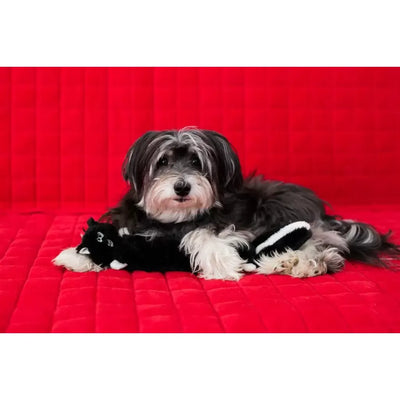 Zippypaws Plush Toys For Dog Jigglerz® – Skunk