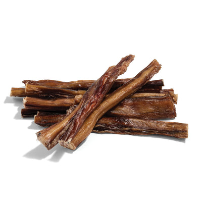 The Pet Projcet Dog Treats BULLY STICK 5PK