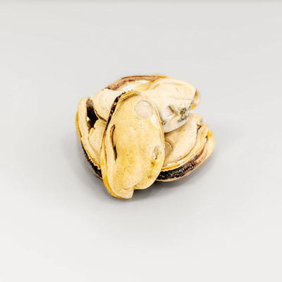 RAFA Raw Freeze-Dried Treats | Human-Grade Lipped Mussels 60g