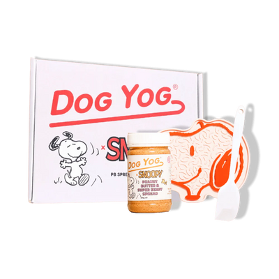 Dog Yog - Snoopy Gift Box