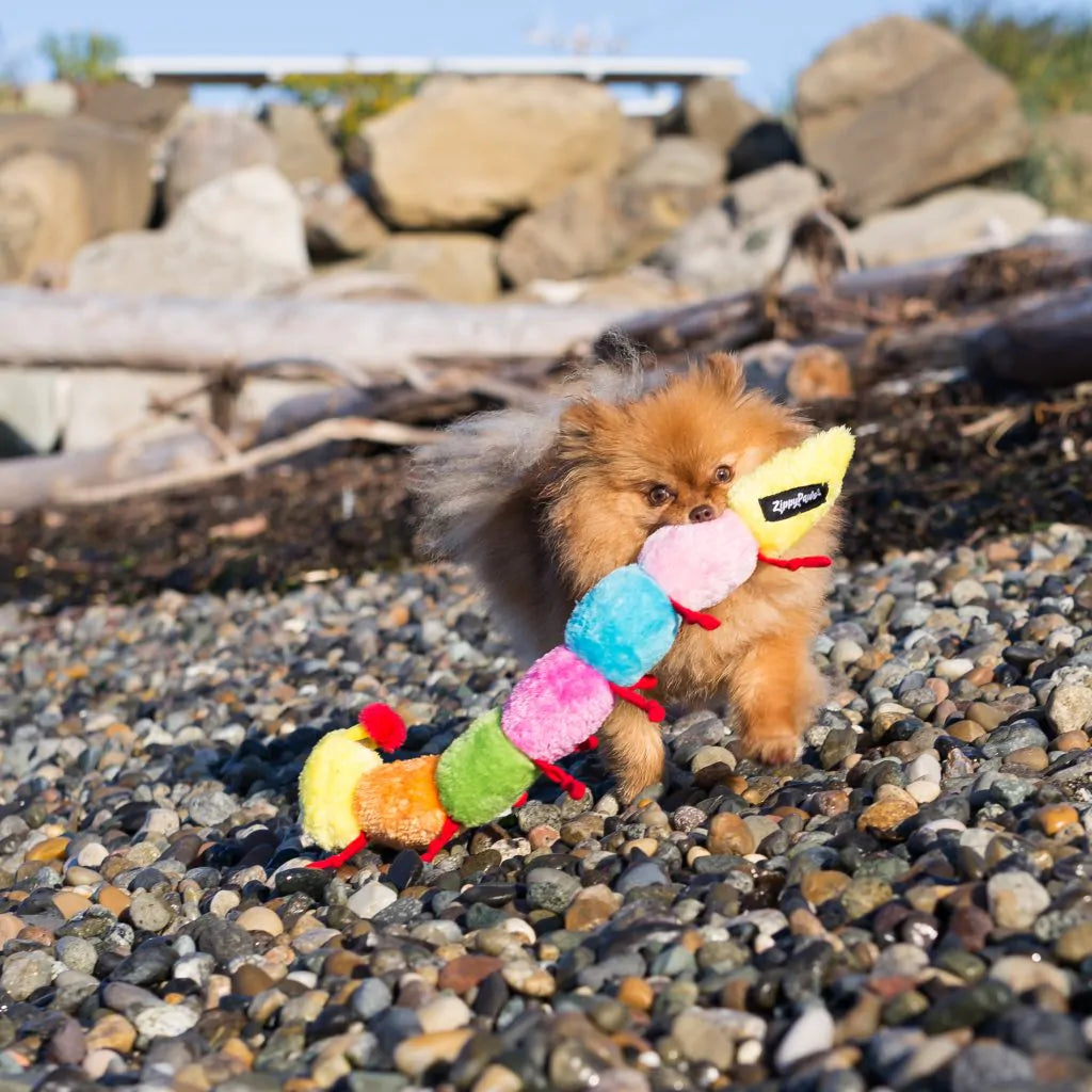 Zippypaws Plush Toys For Dog Caterpillar – Large with 7 Squeakers