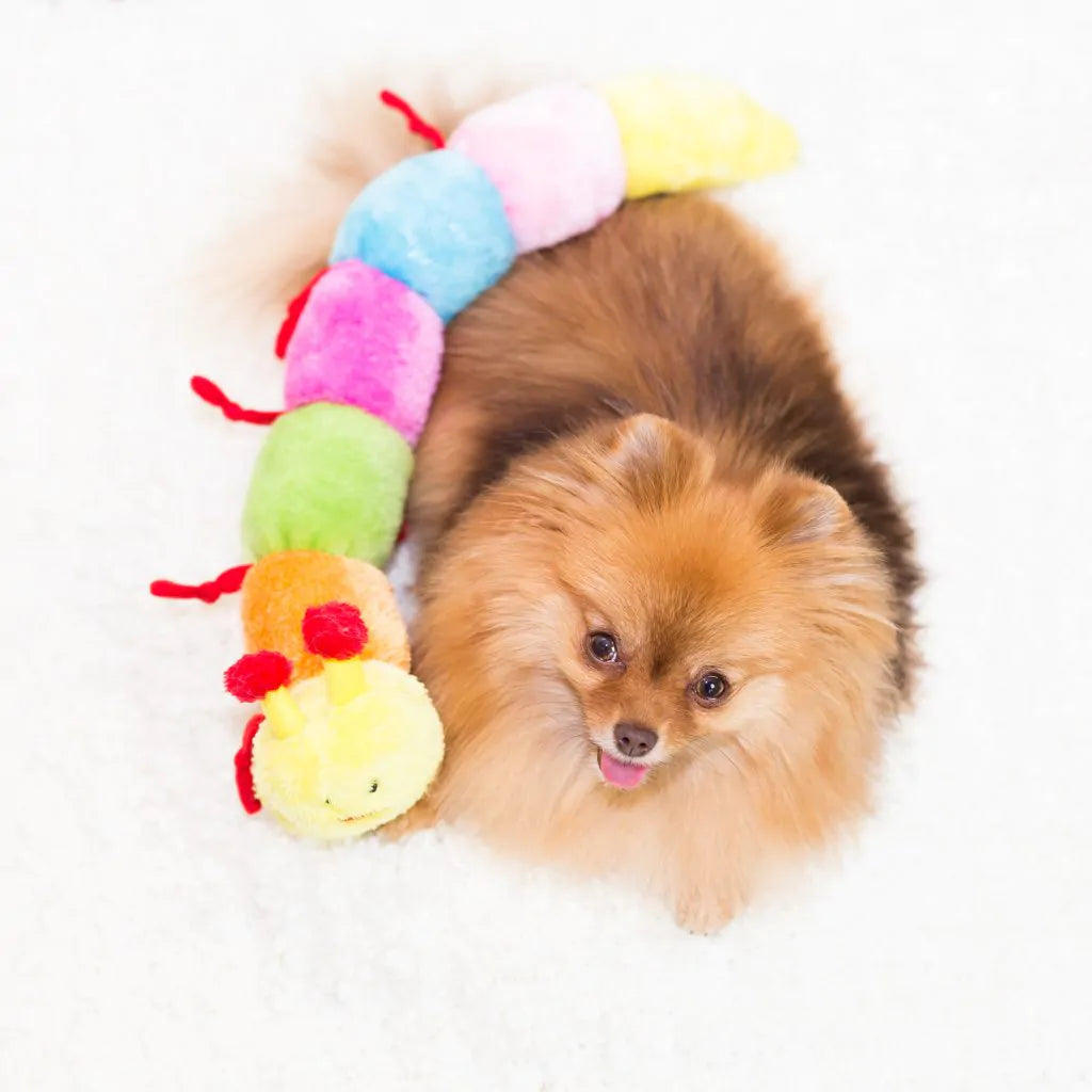 Zippypaws Plush Toys For Dog Caterpillar – Large with 7 Squeakers