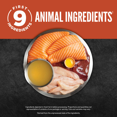 ORIJEN Cat Wt Food CHUNKS & SHREDS - SALMON & CHICKEN ENTRÉE