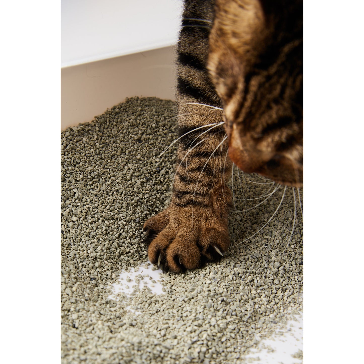 Opet Sodium Bentonite Super Clumping and Ordor Control Cat Litter 5.65kg (1 Bag)