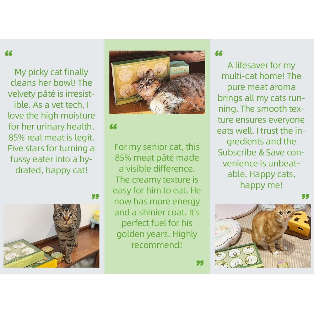 Opet True Bowl Cat Wet Food - Chicken Recipe 100g x 6