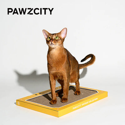 PAWZCITY Vintage Tape Cat Scratching Board - Style A