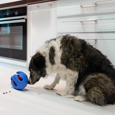 KONG Treat Dispensing Dog Toy Rewards Wrapz Medium/Large