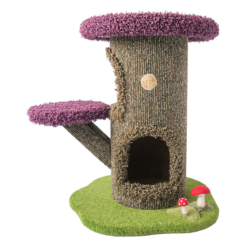 Camily "Mushroom" Cat Climbing Tree