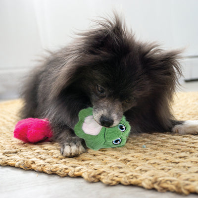 KONG Dog Toy Snuzzles Mini Frog