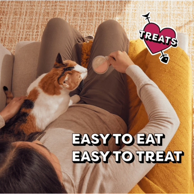 Temptations Cat Treats Creamy Spoons Tasty Chicken And Savoury Salmon 4x10g