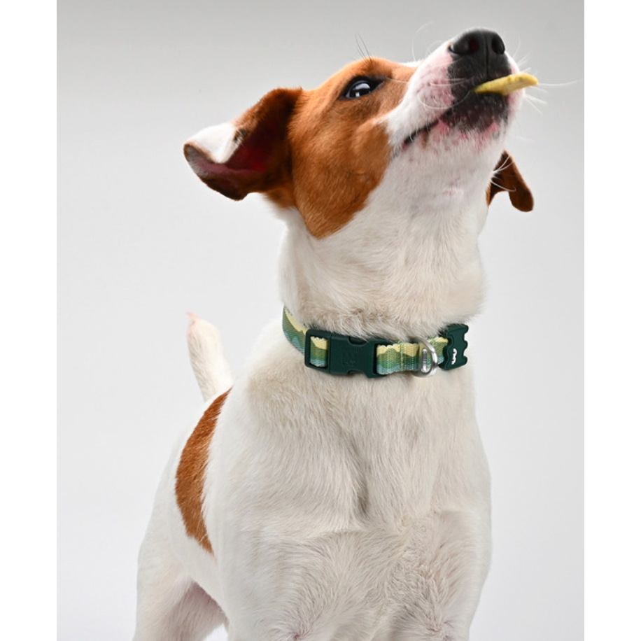 VITALWAVE Gradient Peaks Dog Collar