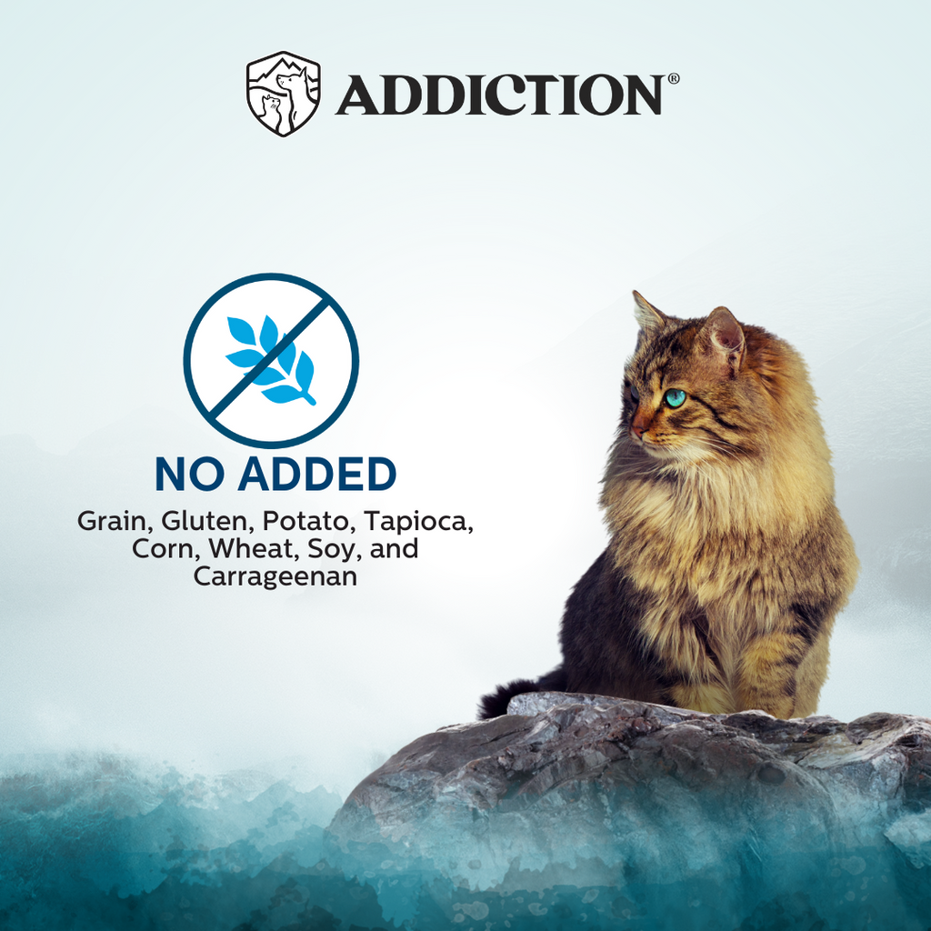 Addiction Cat Wet Food Wild Islands Pacific Catch