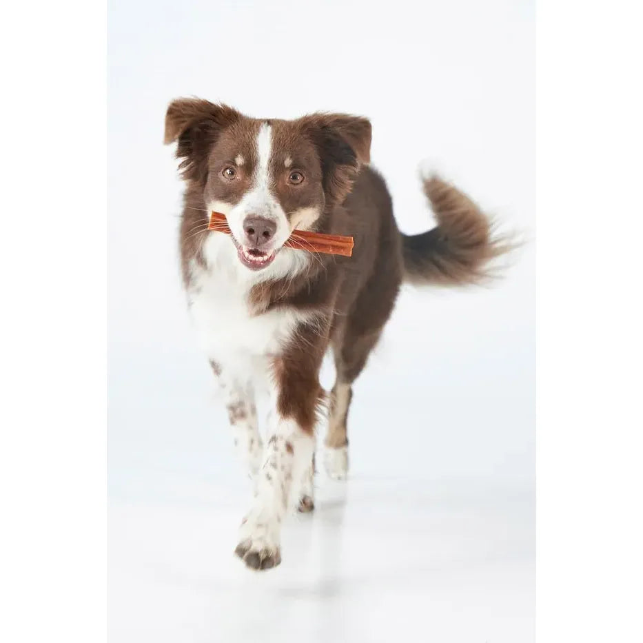 Whimzees Dental Dog Treats Stix