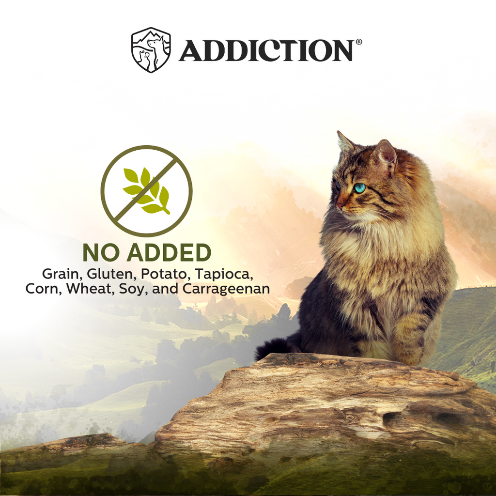 Addiction Cat Wet Food Wild Islands Highlands Meat Lamb And Beef