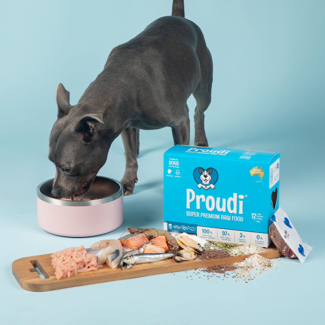 Proudi Dog Raw Food - Ocean Combo & Turkey