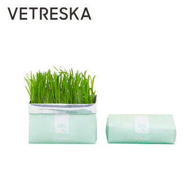 VETRESKA Soilless Cat Grass – Setaria