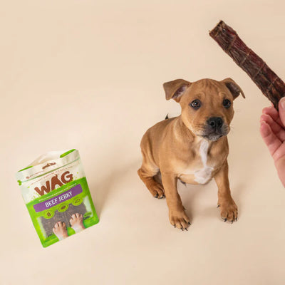 WAG Dog Treats Beef Jerky 200g