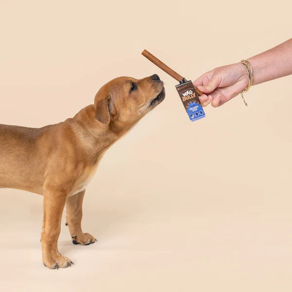 WAG Dog Treats Collagen Sticks Regular 4 Pack
