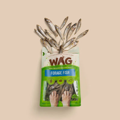 WAG Dog Treats Forage Fish 200g