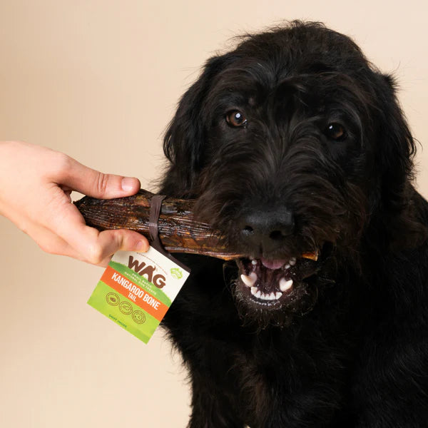 WAG Dog Treats Kangaroo Tail Bone